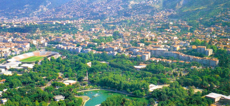 Bursa